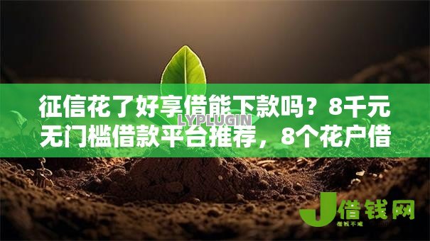 征信花了好享借能下款吗?8千元无门槛借款平台推荐,8个花户借款平台容易通过盘点 征信花了好享借能下款吗?8千元无门槛借款平台推荐,8个花户借款平台容易通过盘点