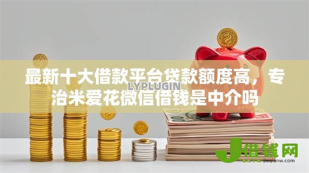 最新十大借款平台贷款额度高，专治米爱花微信借钱是中介吗