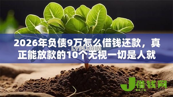 2026年负债9万怎么借钱还款,真正能放款的10个无视一切是人就下款的平台推荐 2026年负债9万怎么借钱还款,真正能放款的10个无视一切是人就下款的平台推荐