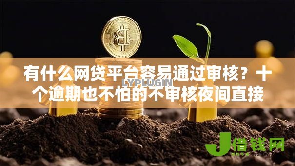 有什么网贷平台容易通过审核？十个逾期也不怕的不审核夜间直接放款的网贷软件