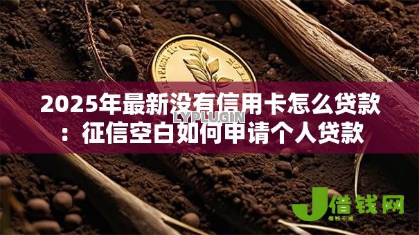 2025年最新没有信用卡怎么贷款:征信空白如何申请个人贷款 2025年最新没有信用卡怎么贷款:征信空白如何申请个人贷款