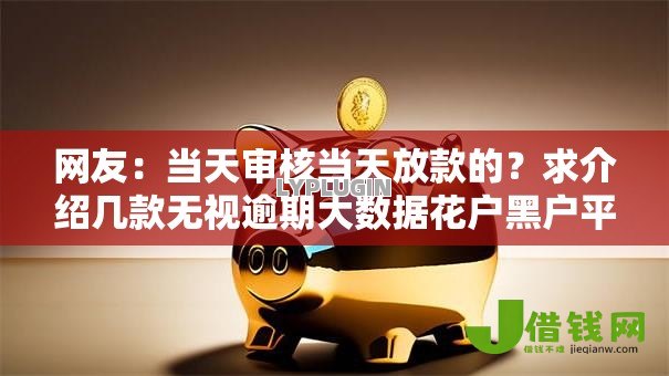 网友：当天审核当天放款的？求介绍几款无视逾期大数据花户黑户平台