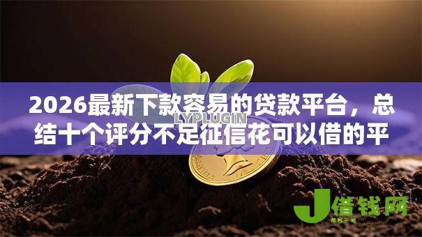2026最新下款容易的贷款平台，总结十个评分不足征信花可以借的平台！