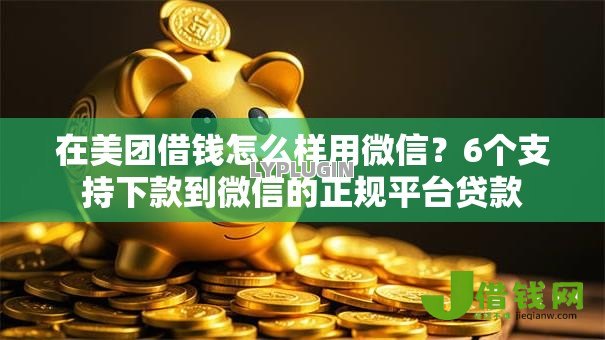 在美团借钱怎么样用微信?6个支持下款到微信的正规平台贷款 在美团借钱怎么样用微信?6个支持下款到微信的正规平台贷款