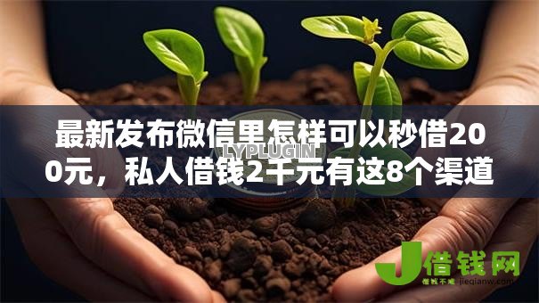 最新发布微信里怎样可以秒借200元，私人借钱2千元有这8个渠道