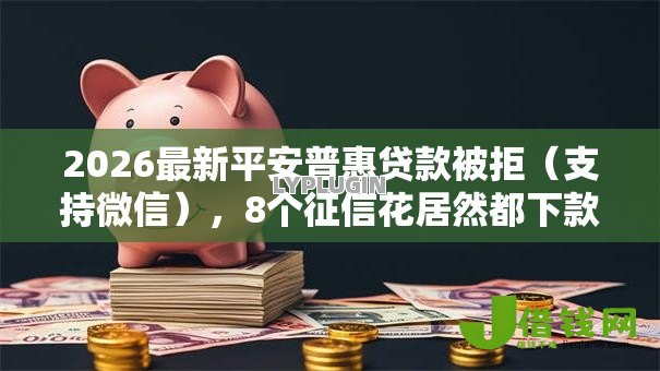 2026最新平安普惠贷款被拒（支持微信），8个征信花居然都下款的平台无私分享