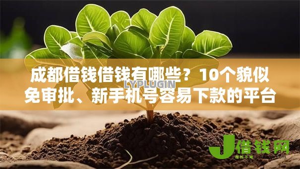 成都借钱借钱有哪些？10个貌似免审批、新手机号容易下款的平台合集