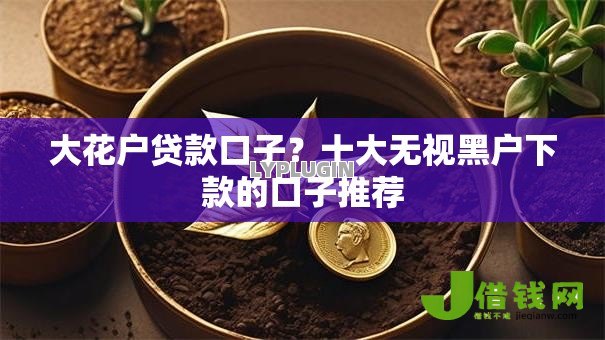 大花户贷款口子?十大无视黑户下款的口子推荐 大花户贷款口子?十大无视黑户下款的口子推荐
