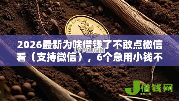 2026最新为啥借钱了不敢点微信看(支持微信),6个急用小钱不求征信流水轻松贷的平台无私分享 2026最新为啥借钱了不敢点微信看(支持微信),6个急用小钱不求征信流水轻松贷的平台无私分享