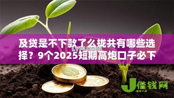 及贷是不下款了么拢共有哪些选择?9个2025短期高炮口子必下款详解 及贷是不下款了么拢共有哪些选择?9个2025短期高炮口子必下款详解