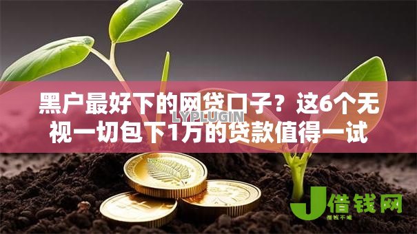 黑户最好下的网贷口子？这6个无视一切包下1万的贷款值得一试