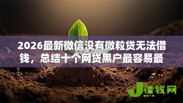 2026最新微信没有微粒贷无法借钱，总结十个网贷黑户最容易最好下款的平台！