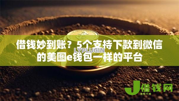 借钱妙到账？5个支持下款到微信的美图e钱包一样的平台