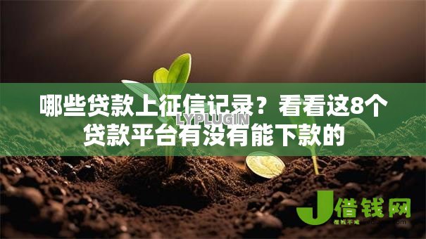 哪些贷款上征信记录？看看这8个贷款平台有没有能下款的