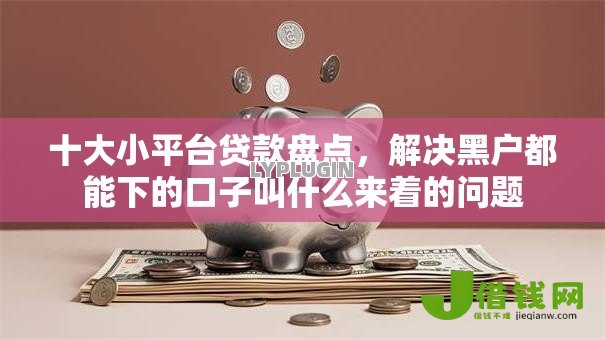 十大小平台贷款盘点,解决黑户都能下的口子叫什么来着的问题 十大小平台贷款盘点,解决黑户都能下的口子叫什么来着的问题