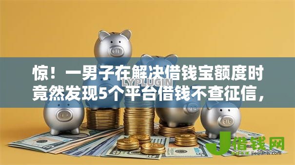 惊!一男子在解决借钱宝额度时竟然发现5个平台借钱不查征信,事后分享了出来 惊!一男子在解决借钱宝额度时竟然发现5个平台借钱不查征信,事后分享了出来