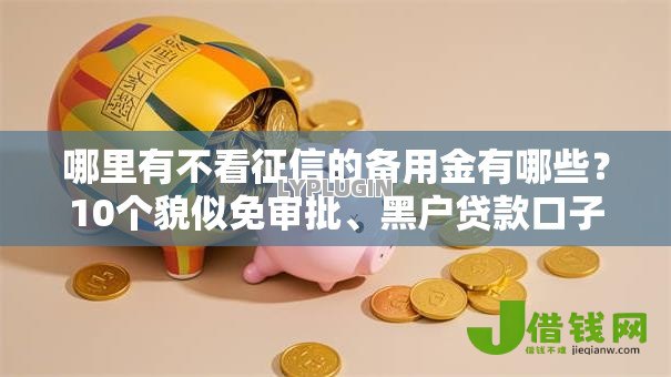 哪里有不看征信的备用金有哪些？10个貌似免审批、黑户贷款口子秒下的合集