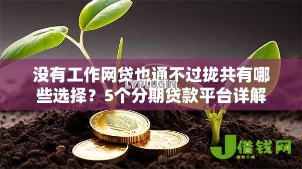 没有工作网贷也通不过拢共有哪些选择?5个分期贷款平台详解 没有工作网贷也通不过拢共有哪些选择?5个分期贷款平台详解