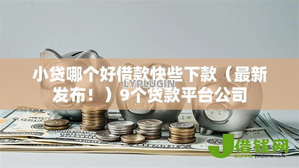 小贷哪个好借款快些下款（最新发布！）9个贷款平台公司