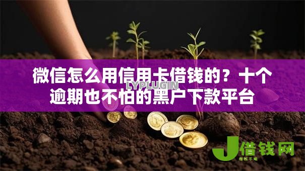 微信怎么用信用卡借钱的?十个逾期也不怕的黑户下款平台 微信怎么用信用卡借钱的?十个逾期也不怕的黑户下款平台