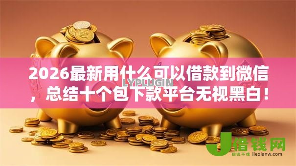 2026最新用什么可以借款到微信，总结十个包下款平台无视黑白！