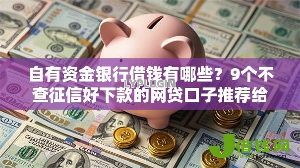 自有资金银行借钱有哪些？9个不查征信好下款的网贷口子推荐给你