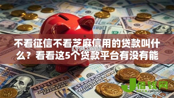 不看征信不看芝麻信用的贷款叫什么？看看这5个贷款平台有没有能下款的