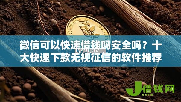 微信可以快速借钱吗安全吗？十大快速下款无视征信的软件推荐