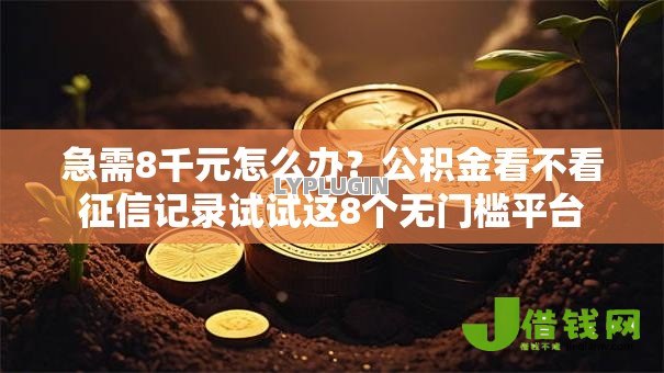 急需8千元怎么办?公积金看不看征信记录试试这8个无门槛平台 急需8千元怎么办?公积金看不看征信记录试试这8个无门槛平台