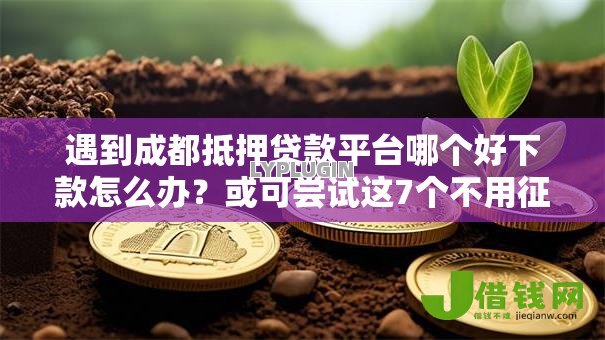 遇到成都抵押贷款平台哪个好下款怎么办?或可尝试这7个不用征信就能借钱的平台 遇到成都抵押贷款平台哪个好下款怎么办?或可尝试这7个不用征信就能借钱的平台
