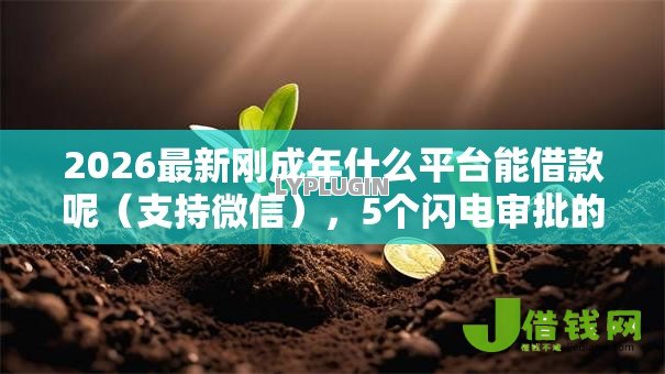 2026最新刚成年什么平台能借款呢(支持微信),5个闪电审批的软件无私分享 2026最新刚成年什么平台能借款呢(支持微信),5个闪电审批的软件无私分享