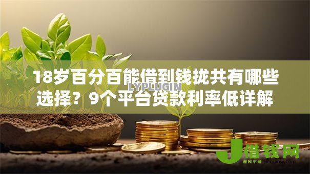 18岁百分百能借到钱拢共有哪些选择?9个平台贷款利率低详解 18岁百分百能借到钱拢共有哪些选择?9个平台贷款利率低详解