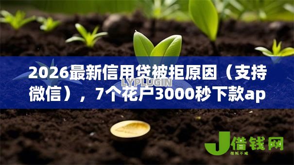 2026最新信用贷被拒原因(支持微信),7个花户3000秒下款app无私分享 2026最新信用贷被拒原因(支持微信),7个花户3000秒下款app无私分享