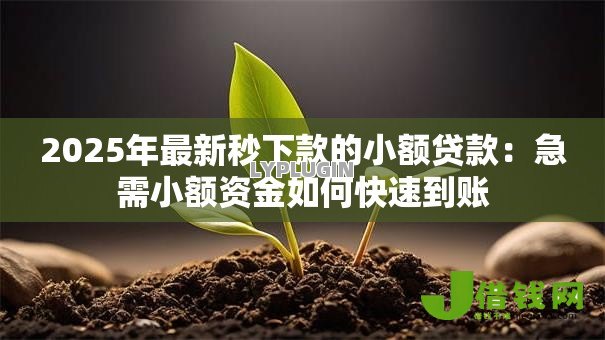2025年最新秒下款的小额贷款:急需小额资金如何快速到账 2025年最新秒下款的小额贷款:急需小额资金如何快速到账