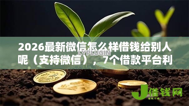 2026最新微信怎么样借钱给别人呢（支持微信），7个借款平台利息低还的时间长的无私分享