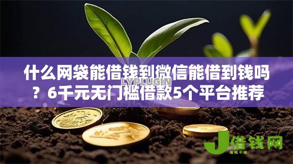 什么网袋能借钱到微信能借到钱吗?6千元无门槛借款5个平台推荐 什么网袋能借钱到微信能借到钱吗?6千元无门槛借款5个平台推荐