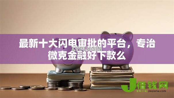 最新十大闪电审批的平台，专治微克金融好下款么