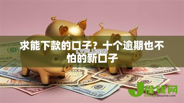 求能下款的口子？十个逾期也不怕的新口子