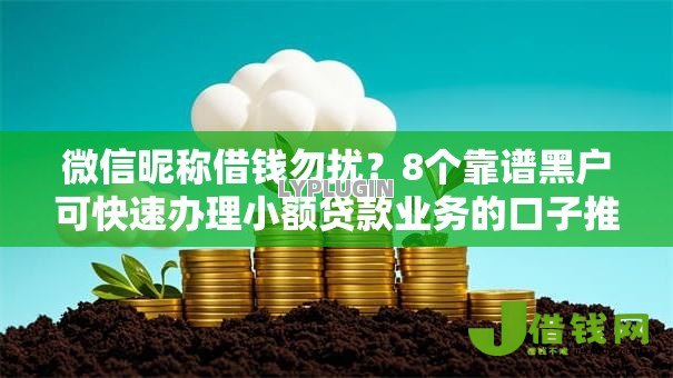 微信昵称借钱勿扰？8个靠谱黑户可快速办理小额贷款业务的口子推荐