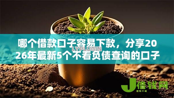 哪个借款口子容易下款,分享2026年最新5个不看负债查询的口子 哪个借款口子容易下款,分享2026年最新5个不看负债查询的口子