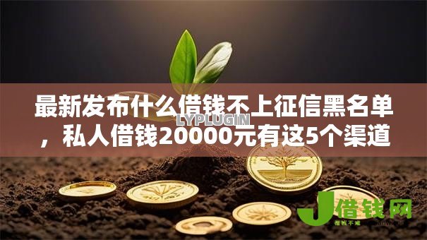 最新发布什么借钱不上征信黑名单,私人借钱20000元有这5个渠道 最新发布什么借钱不上征信黑名单,私人借钱20000元有这5个渠道