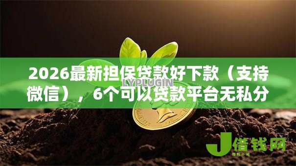 2026最新担保贷款好下款（支持微信），6个可以贷款平台无私分享