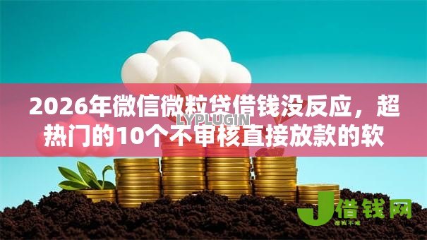 2026年微信微粒贷借钱没反应,超热门的10个不审核直接放款的软件推荐 2026年微信微粒贷借钱没反应,超热门的10个不审核直接放款的软件推荐