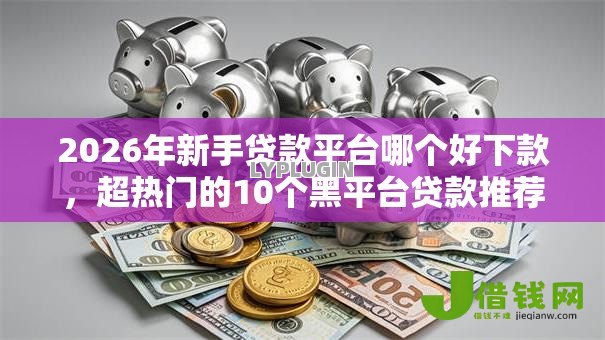 2026年新手贷款平台哪个好下款,超热门的10个黑平台贷款推荐 2026年新手贷款平台哪个好下款,超热门的10个黑平台贷款推荐