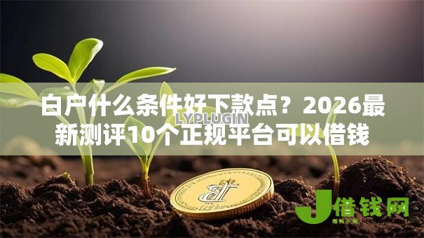 白户什么条件好下款点?2026最新测评10个正规平台可以借钱 白户什么条件好下款点?2026最新测评10个正规平台可以借钱