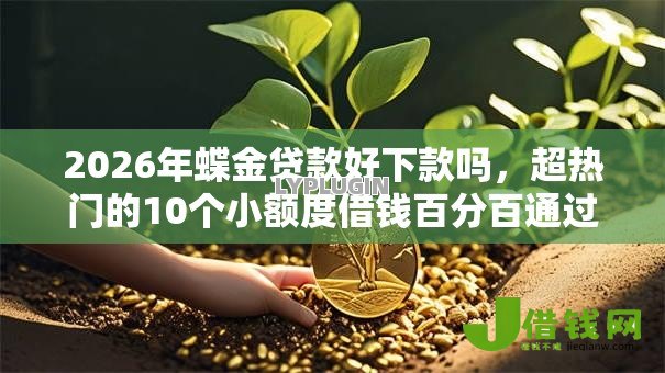 2026年蝶金贷款好下款吗,超热门的10个小额度借钱百分百通过的平台推荐 2026年蝶金贷款好下款吗,超热门的10个小额度借钱百分百通过的平台推荐