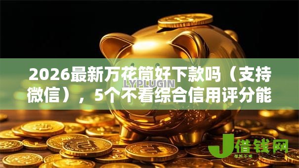 2026最新万花筒好下款吗(支持微信),5个不看综合信用评分能下款的软件无私分享 2026最新万花筒好下款吗(支持微信),5个不看综合信用评分能下款的软件无私分享