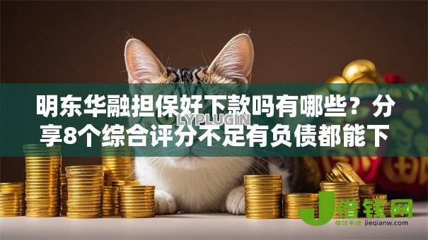 明东华融担保好下款吗有哪些？分享8个综合评分不足有负债都能下款平台