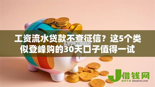 工资流水贷款不查征信?这5个类似登峰购的30天口子值得一试 工资流水贷款不查征信?这5个类似登峰购的30天口子值得一试