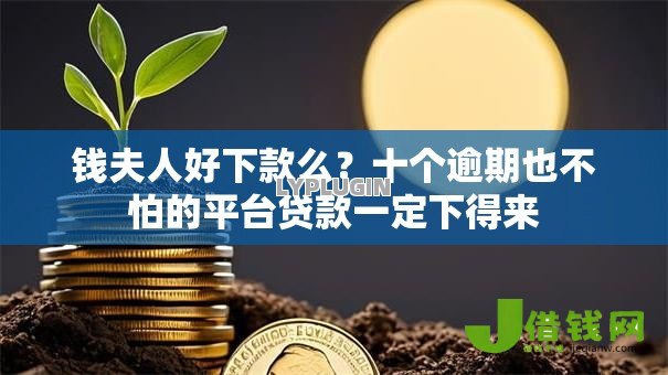 钱夫人好下款么?十个逾期也不怕的平台贷款一定下得来 钱夫人好下款么?十个逾期也不怕的平台贷款一定下得来